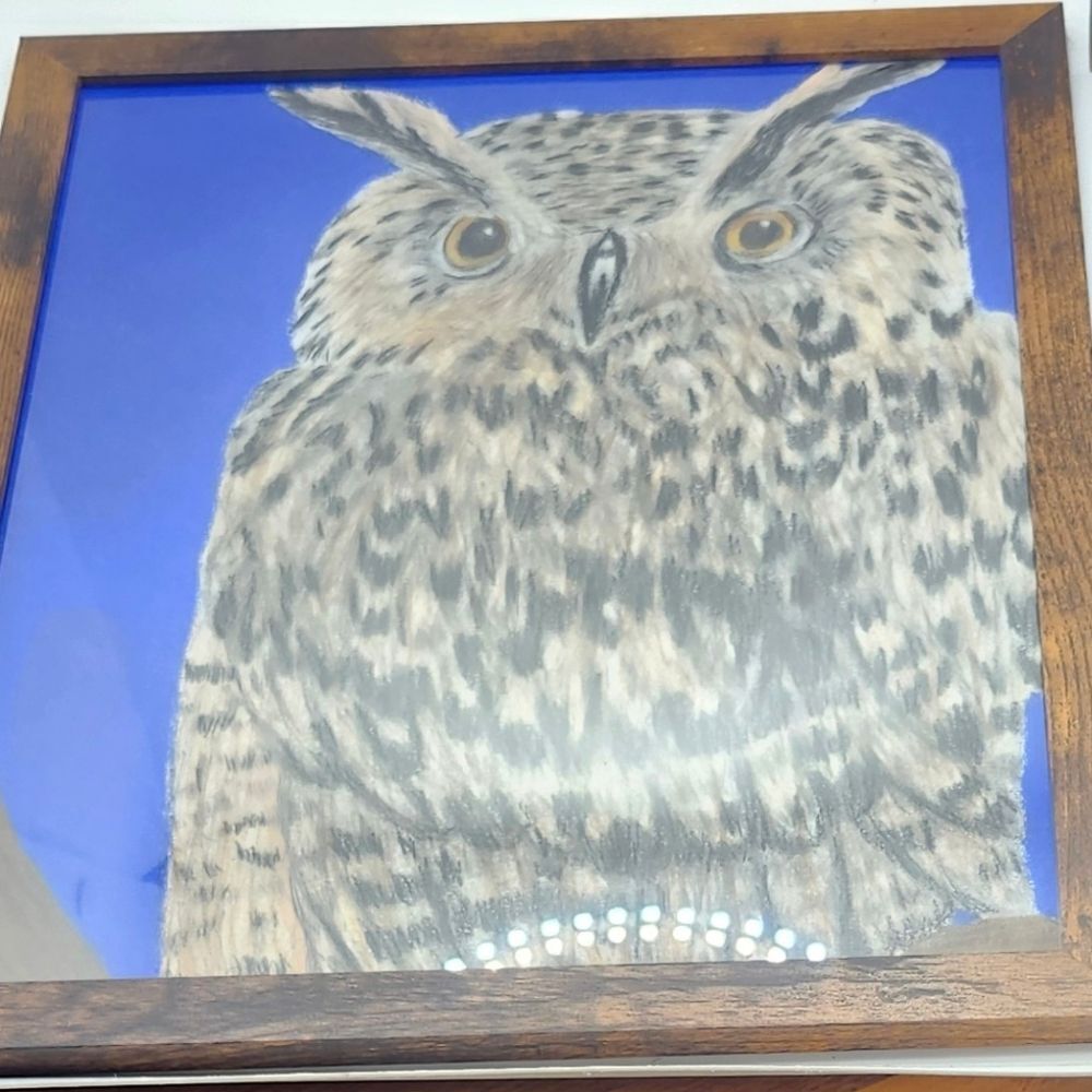 Hand Crafted Horned Owl Colored Pencil Drawing Framed 9x11" - Picture 5 of 12